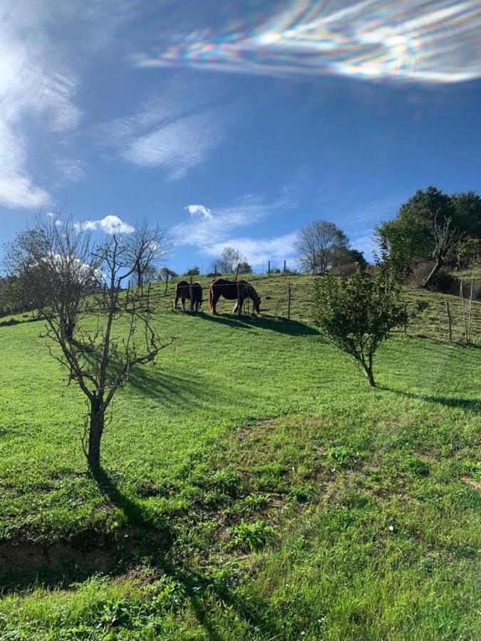 La Casa Azul, Vistas Impresionantes En Plena Naturaleza Con Jardin, Barbacoa, Saltador Y Acceso Al Rio Ason Villa Ramales de la Victoria Exterior foto